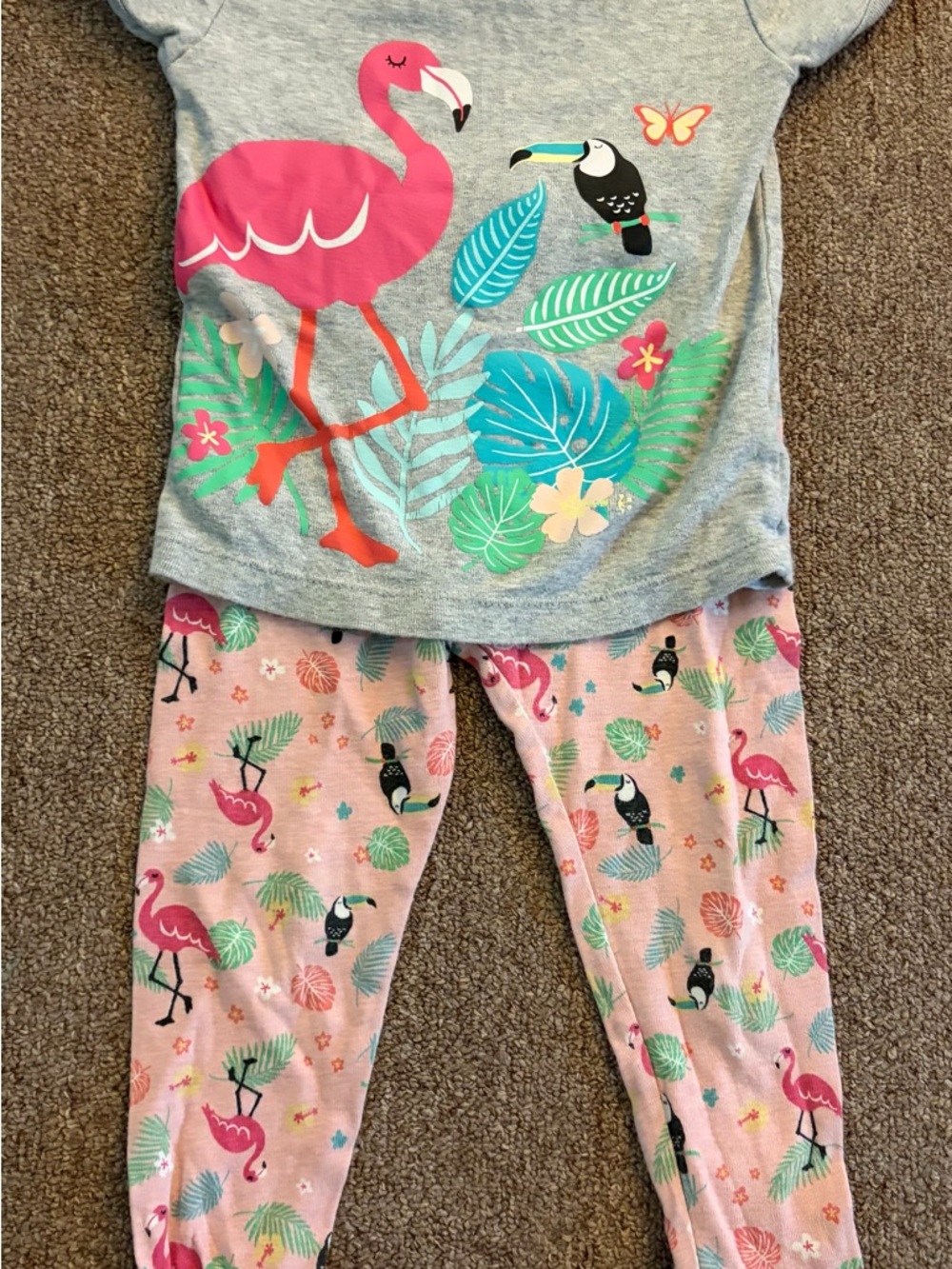 Wonder Nation Tropical Flamingo & Toucan Pajama Set (3T)